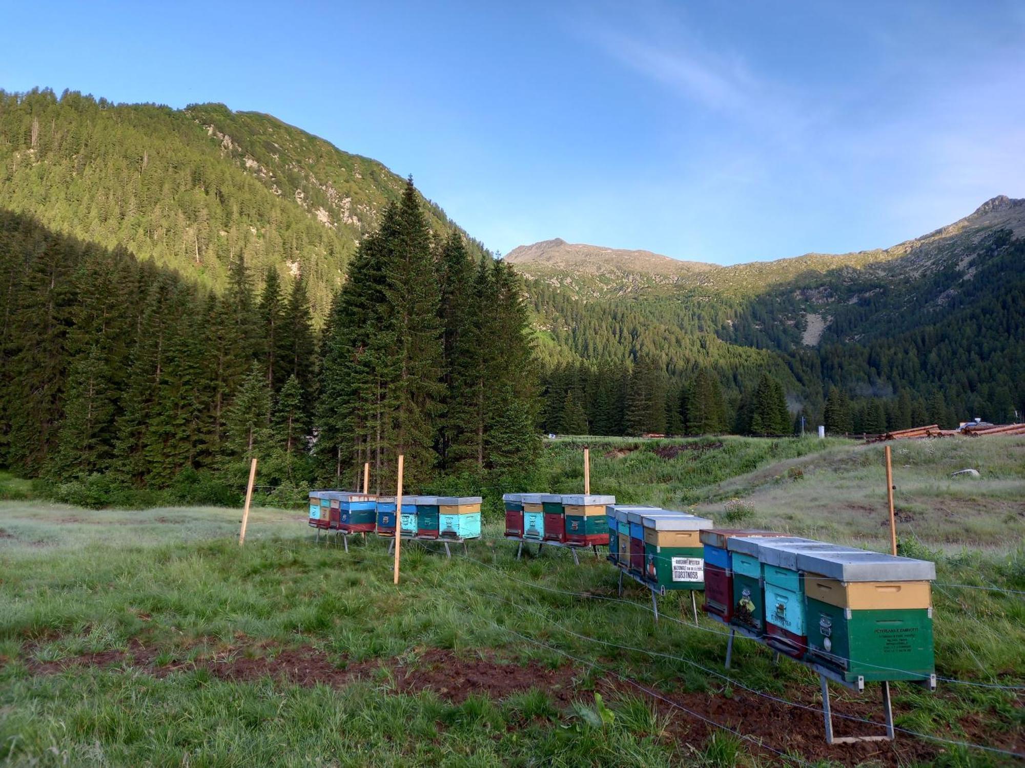 Agritur Ca' De Mel Villa Fiavè Kültér fotó