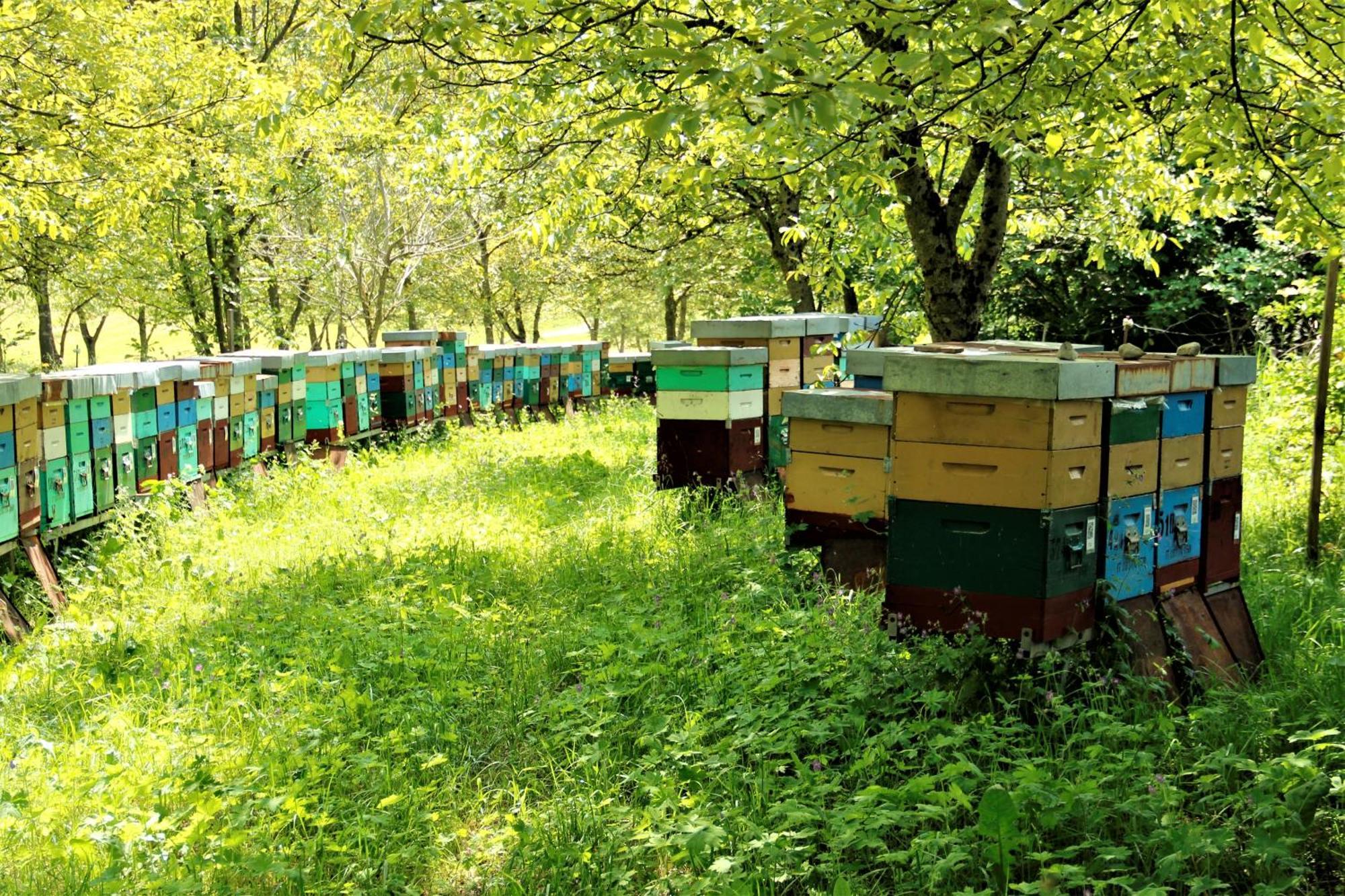 Agritur Ca' De Mel Villa Fiavè Kültér fotó